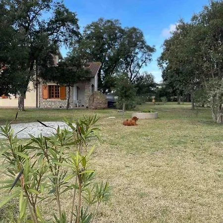 Villa Capinera, Entire House With Private Park *
