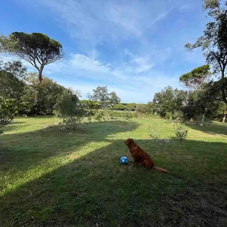Villa Capinera, Entire House With Private Park *